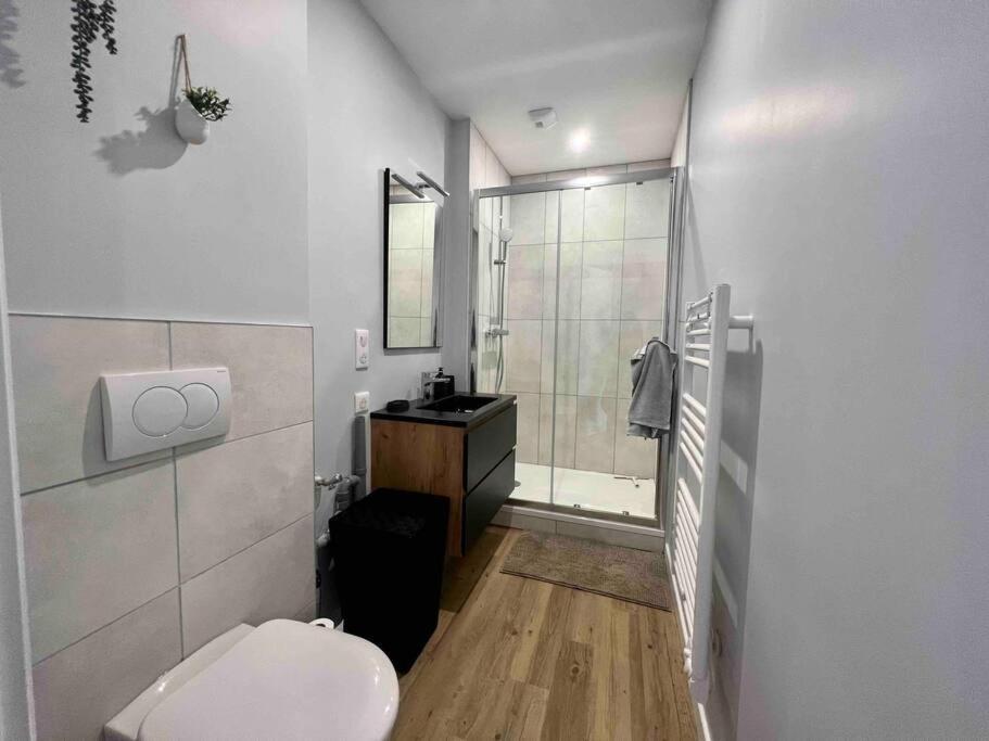 Appartement Climatise 4 Personnes / Centre-Ville Besançon Buitenkant foto